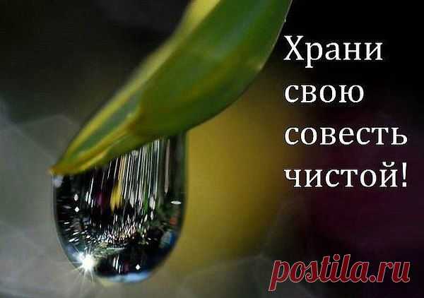 Когда-нибудь судьба тебя прижмёт.
И ты задашь вопрос: -"За что всё это?»
И в непонятках напряжёшь свой мозг,
И будешь ждать от Господа ответа.
На твой вопрос ответ так будет прост:
"Живи любя, без лжи и мести.
Твори добро, не делай людям зла.
Живи по совести и чести." и помни (когда есть за что):