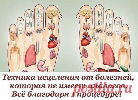 1 непрочитанный чат