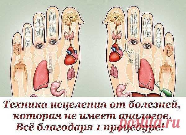 1 непрочитанный чат