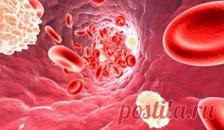 Как снизить уровень холестерина в крови без лекарств народными средствами в домашних условиях? Эти рецепты подойдут и мужчинам и женщинам.