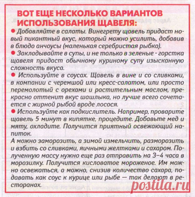 Варианты использования щавеля в кулинарии