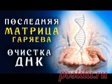 Последняя Матрица Гаряева ☀️ Очистка ДНК Величайшее Творение Ученого ☀️ Квантовое исцеление Звуком
