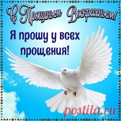 Фотографии на стене сообщества | ВКонтакте