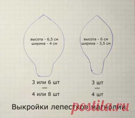 IMG_2886.jpg — Яндекс.Диск