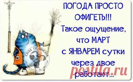 Прикольные фразки в картинках