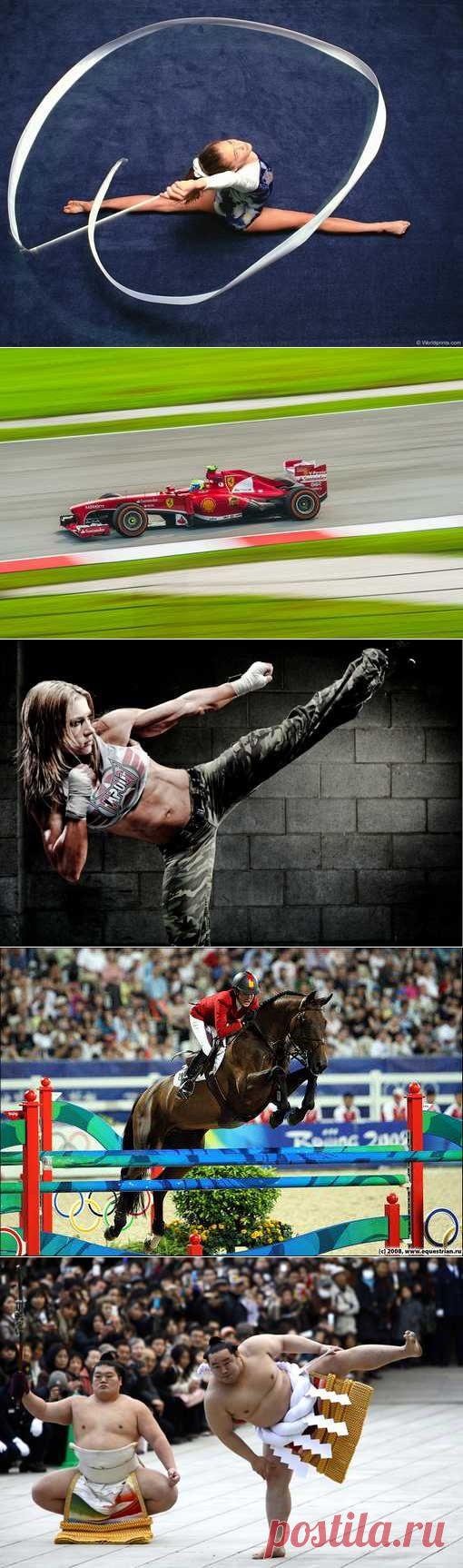 Парашютный спорт, Легкая атлетика, Борьба греко-римская, Боулинг. (1/1) - Спортивный форум. - Спортивный сайт