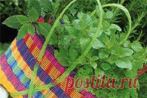 Стенокардия – лечение стенокардии народными средствами и методами