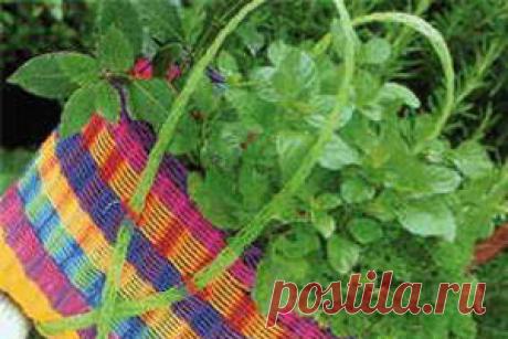 Стенокардия – лечение стенокардии народными средствами и методами