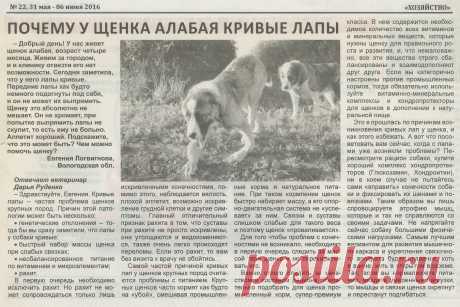 Почему у щенка алабая кривые лапы