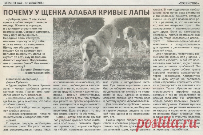 Почему у щенка алабая кривые лапы