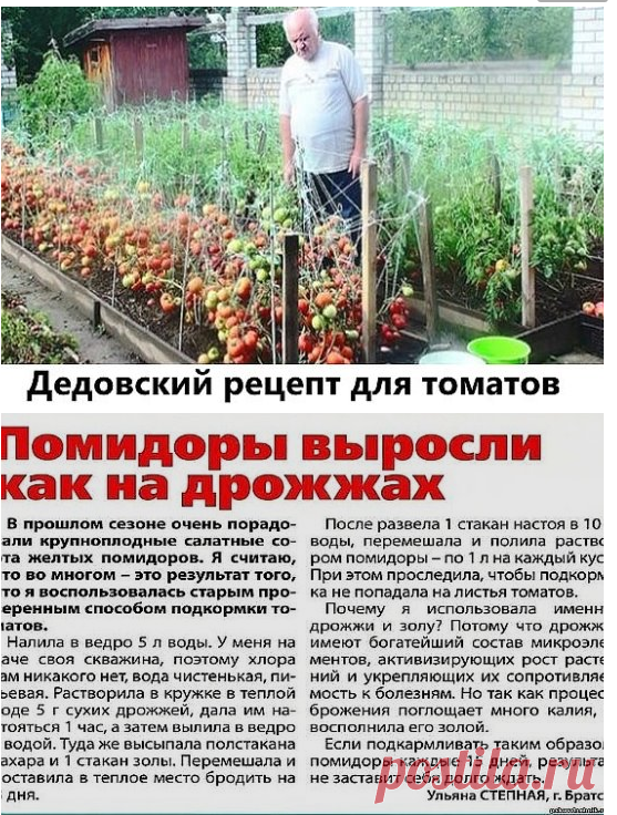 Одноклассники