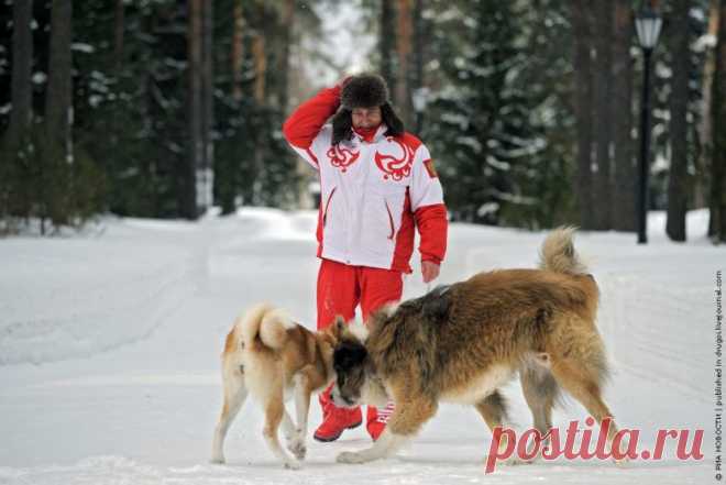 Черновик | ДНЕВНИК Vlad53