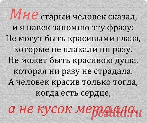 (5) Одноклассники