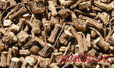 Лопух лечит все кожные заболевания, онкологию. Диабет за 90 дней. | Надежда А. | Яндекс Дзен