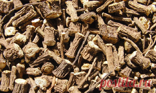 Лопух лечит все кожные заболевания, онкологию. Диабет за 90 дней. | Надежда А. | Яндекс Дзен