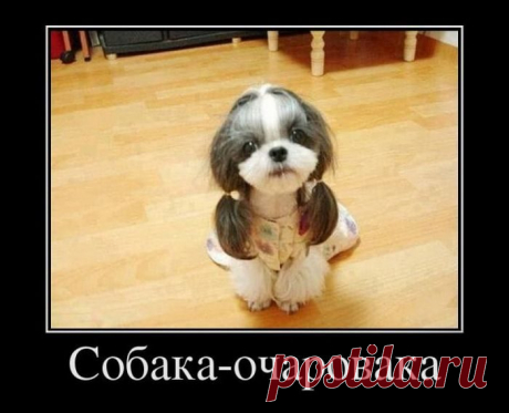 Подборка демотиваторов