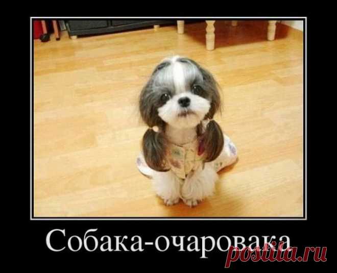 Подборка демотиваторов