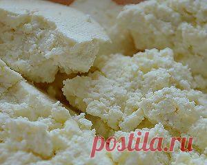 Домашний творог - рецепт приготовления