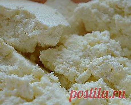 Домашний творог - рецепт приготовления