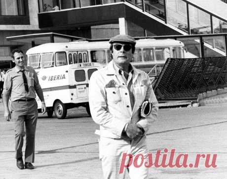 Марчелло Мастроянни. / Болталка / Жизнь Замечательных Людей