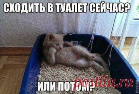 Ирина Полхович - в Кругу Друзей - социальная сеть