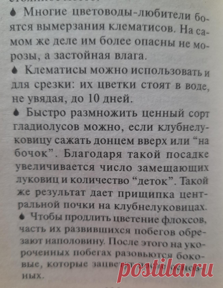 Цветы. Советы.