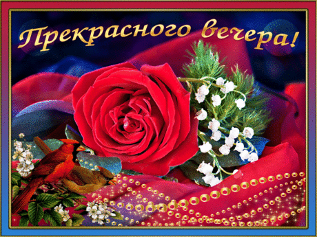 флеш открытки | Прекрасного вечера!