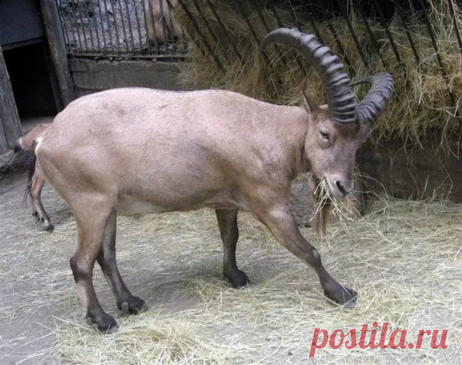 страницы которые создавались константина валерьевича сосницкого краснодар: 10 тыс изображений найдено в Яндекс.Картинках