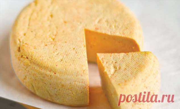 Берем ведро молока и делаем настоящий сыр чеддар на целый месяц | Люблю Себя