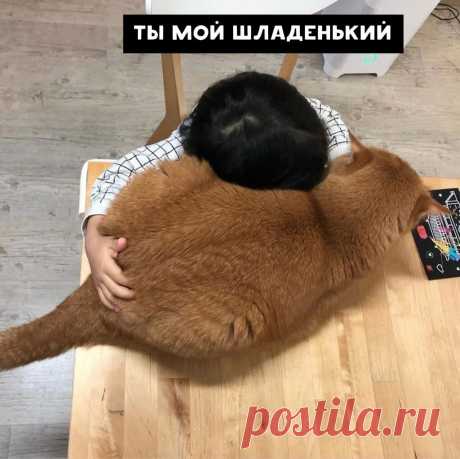 ,
