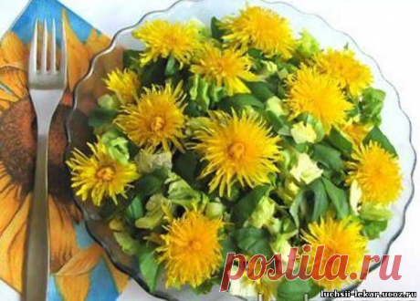 Салат из одуванчиков | Эко рецепты со вкусом