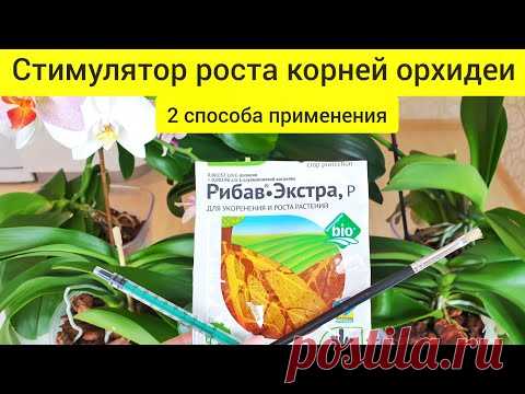 РИБАВ ЭКСТРА для орхидей || Два способа ПРИМЕНЕНИЕ рибав-экстра для РОСТА КОРНЕЙ орхидей