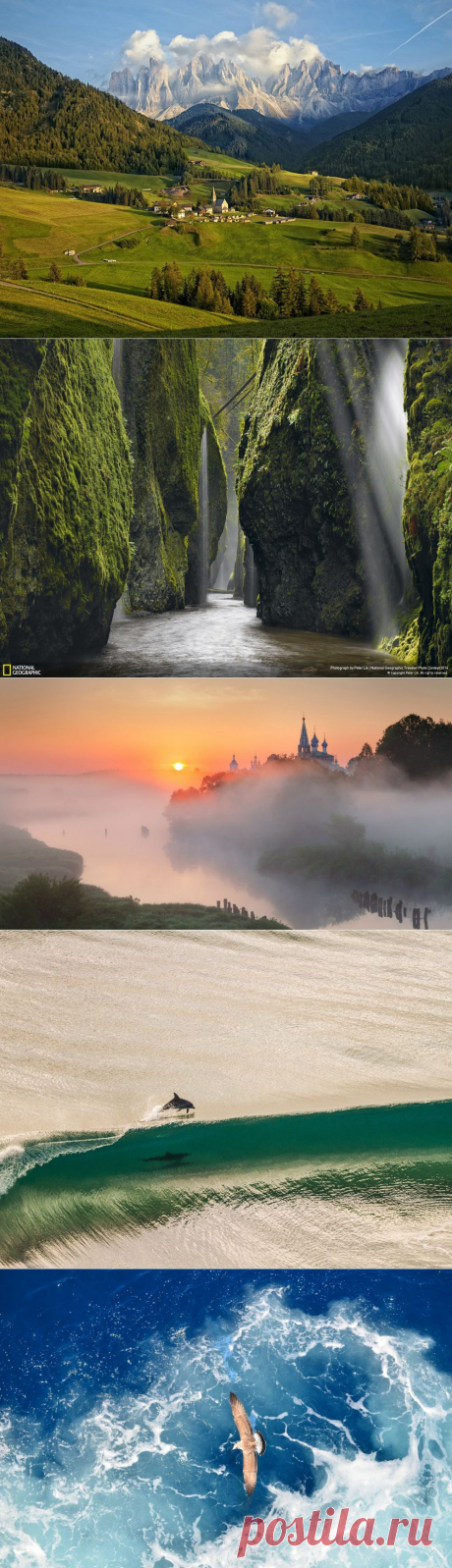 Лучшие фотографии National Geographic за июнь