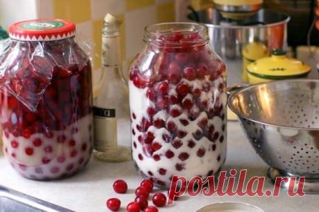 ТОП 4 домашних настойки, которые под силу каждому и дешевле, чем магазинная «химия» Я постоянно ищу и придумываю новые рецепты алкогольных напитков. Люблю экспериментировать с ингредиентами, создавая новые вкусы. К этому привели высокие цены в магазинах на спиртное, а также