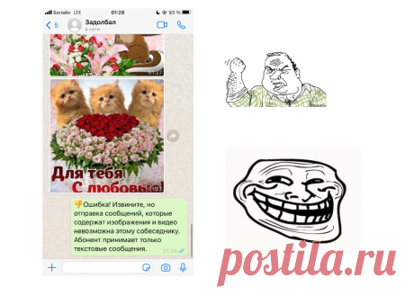 Как отучить родственников и друзей посылать вам в WhatsApp картинки, гифки и видео | Записки Айтишника | Яндекс Дзен