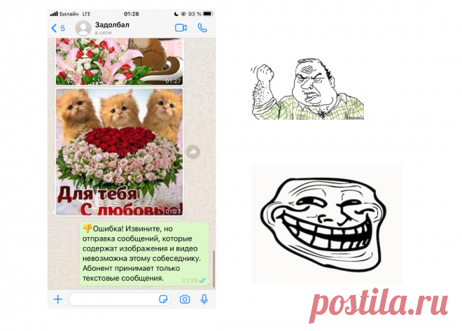Как отучить родственников и друзей посылать вам в WhatsApp картинки, гифки и видео | Записки Айтишника | Яндекс Дзен