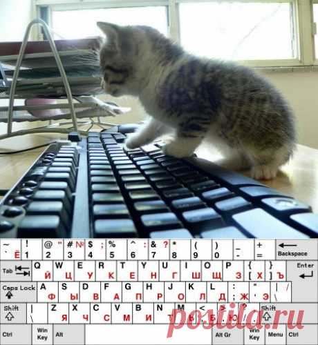 101 комбинация на клавиатуре, которая может облегчить жизнь