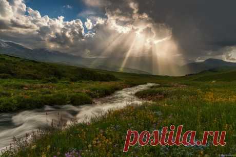Летний вечер в урочище Бартагуль, Заилийский Алатау. Автор фото — Ольга Кулакова: nat-geo.ru/photo/user/292190/
