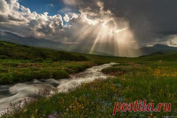 Летний вечер в урочище Бартагуль, Заилийский Алатау. Автор фото — Ольга Кулакова: nat-geo.ru/photo/user/292190/