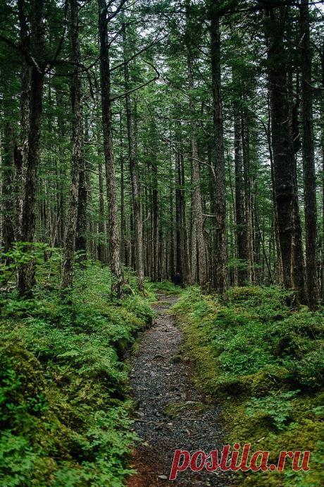 Найдено на сайте theyearinfood.com.