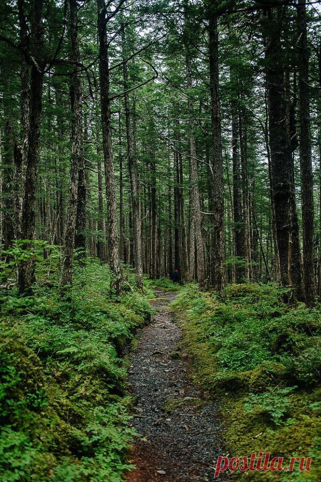 Найдено на сайте theyearinfood.com.