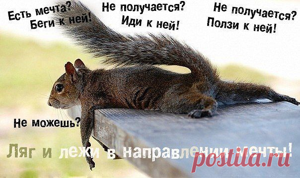 ха