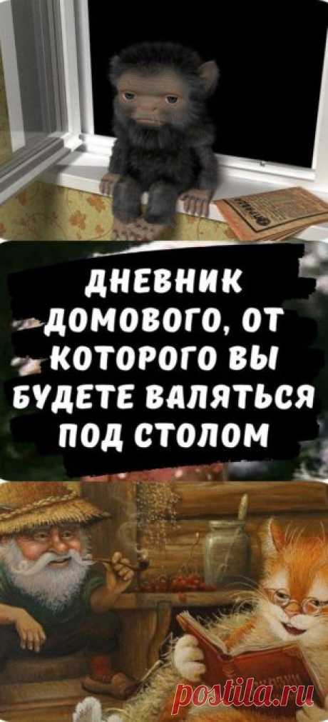 Дневник домового, от которого вы будете валяться под столом