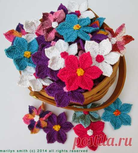 Evanescence : Flowers in the Wild