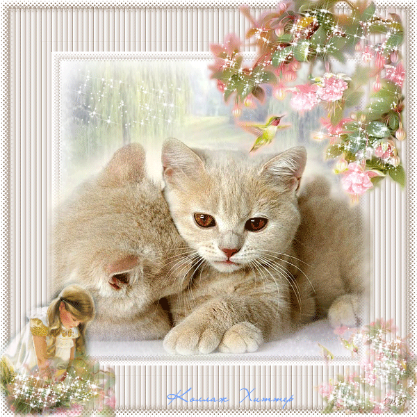 Группа: • Мир СОБАК и КОШЕК