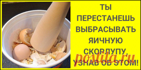 Ты перестанешь выбрасывать яичную скорлупу, узнав об этом!