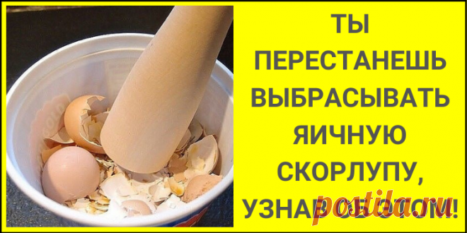 Ты перестанешь выбрасывать яичную скорлупу, узнав об этом!