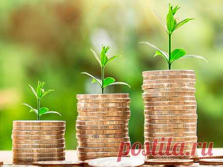 5 решений для грамотных инвестиций | Cash for cash