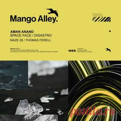 Aman Anand - Space Face / Disastro