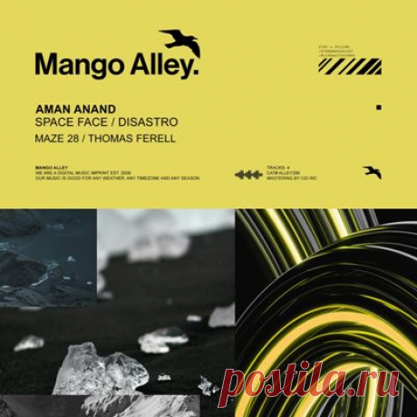 Aman Anand - Space Face / Disastro